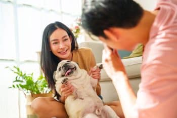 13 Goofy Dog Breeds That Keep Their Families Laughing