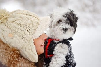 11 Velcro Dog Breeds That Stick Close Always