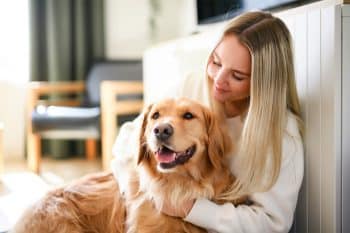 13 Ways Dogs Apologize Without Words