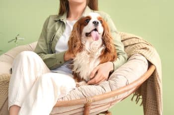 9 Cheerful Dog Breeds That Brighten Every Day