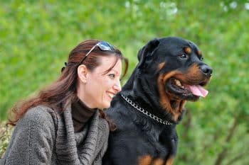 15 Devoted Dog Breeds That Stick By You