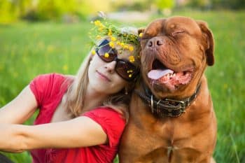 11 Big Dog Breeds That Are Giant Sweethearts