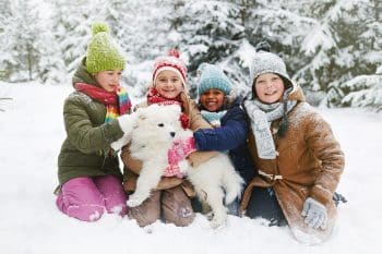 15 Friendly Dog Breeds That Everyone Loves