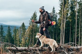 15 Adventurous Dog Breeds That Love Trail Hiking