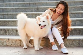 11 Flirty Dog Breeds That Charm Everyone They Meet