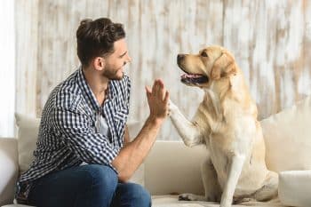 11 Friendly Dog Breeds That Warm Up Fast