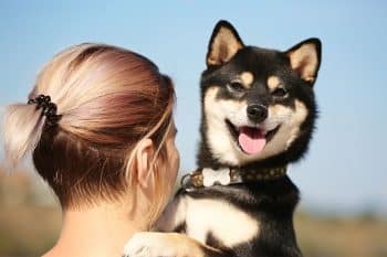 11 Facts About Dog Emotions You Didn’t Know