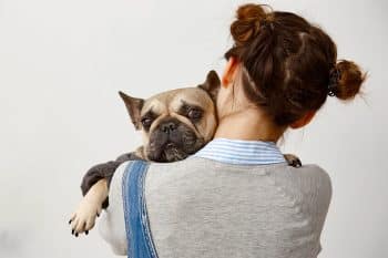 15 Cuddly Dog Breeds You’ll Want To Hold
