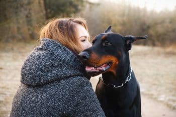 9 Loyal Dog Breeds That Truly Get You