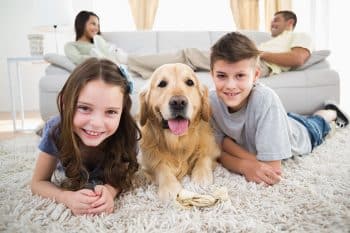 13 Warm-Hearted Dogs That Thrive In Family Homes