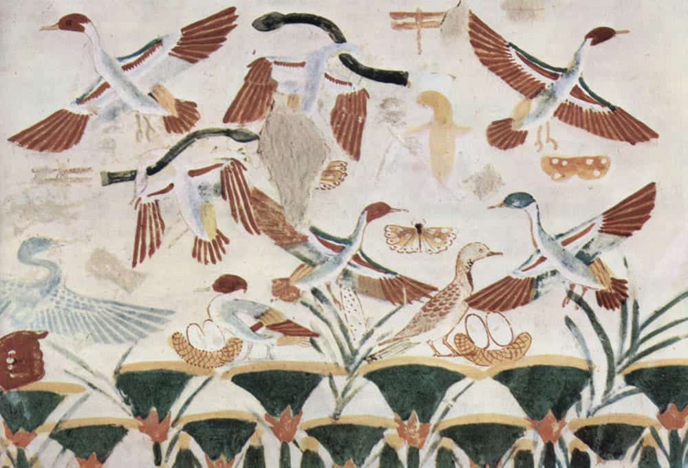 Ancient Messengers: The Timeless Spiritual Power of Bird Symbolism Through Human History