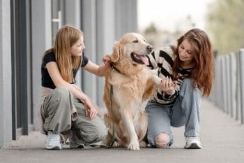 11 Friendly Dog Breeds That Welcome Everyone With a Smile