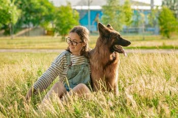 15 Dog Breeds That’ll Bring Clever Vibes to Your Life