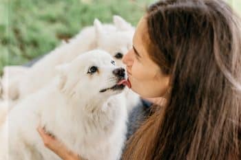 9 Clues Your Dog Sees You As Alpha