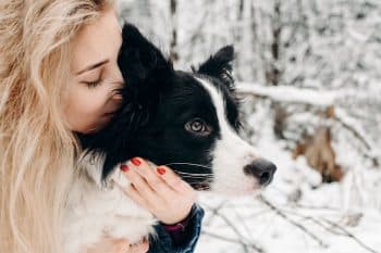 11 Devoted Dog Breeds That Bond To Your Soul