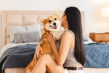 15 Reasons Dogs Follow You Room to Room