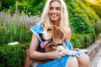 9 Cheerful Dog Breeds That Spread Joy Fast