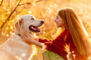 9 Big-Hearted Dog Breeds That Love Fiercely