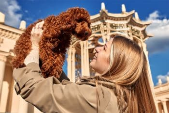 These 11 Friendly Dog Breeds Never Met A Stranger