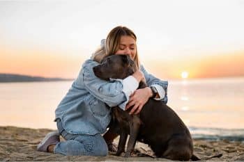 13 Reasons You’ll Always Choose A Dog As Your BFF