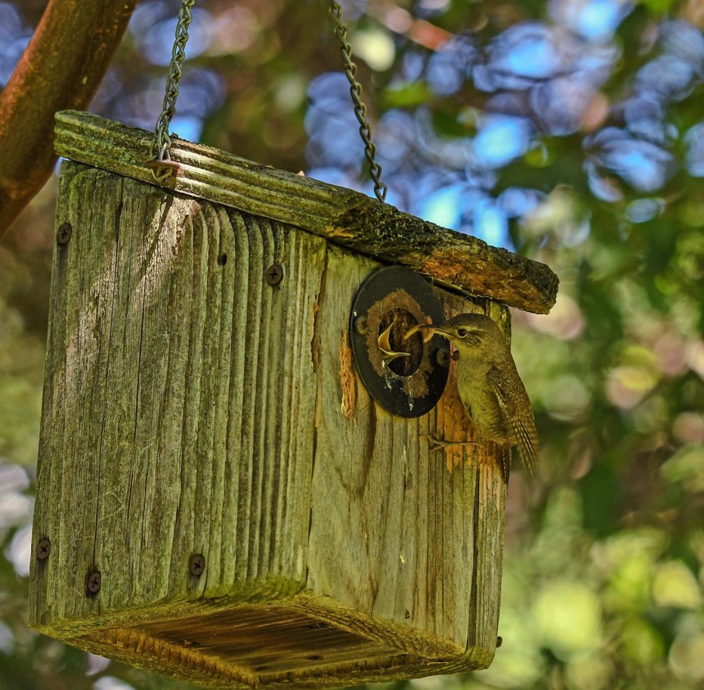 Congress Heads Home: Time To Advocate For Your Refuge