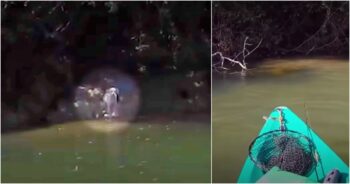 Stranded, Starving, and Alone. Until a Stranger in a Kayak Changed Everything.