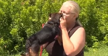 Homeless Woman Turns Down Shelter To Stay With Her Dog Of 15 Years