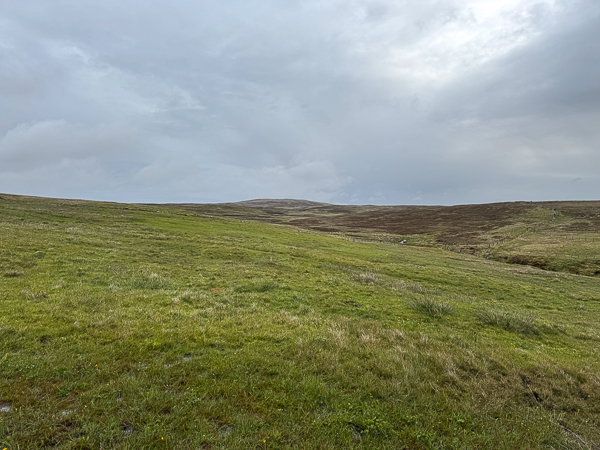 Lost Dahlia and Gussie!