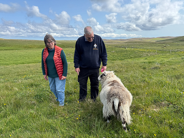 Yesterday was a Good Day