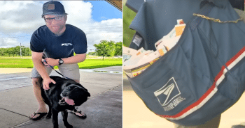 Mailman Races To Shelter To Adopt Dog He Once Visited On His Route