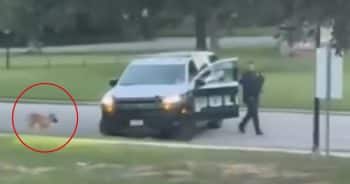 Cop Caught On Video Killing Helpless Stray Dog In Public Park