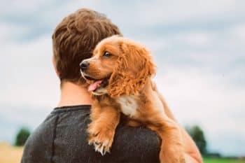 15 Darling Dog Breeds That Redefine Sweetness and Steal Hearts