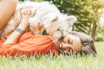 11 Adorable Ways Pups Brighten Even the Darkest Days