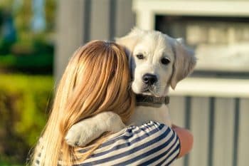 13 Amazing Ways Dogs Transform After Rescue
