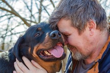 11 Loyal Dog Breeds That Choose You Every Time