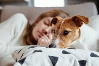 13 Signs Your Dog Knows When You’re Sad