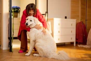 13 Reasons A Dog Makes Life More Meaningful