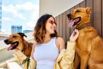 13 Facts About Dogs That’ll Surprise Even Lifelong Owners