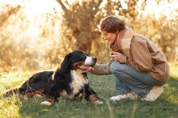 13 Gentle Dog Breeds That People Love Most