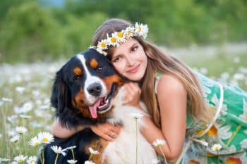 What Makes These 13 Cuddly Dog Breeds So Special?