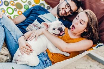 15 Ultimate Dog Breeds for Family Fun