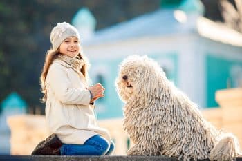 9 Quirky Dog Breeds That Keep Life Interesting