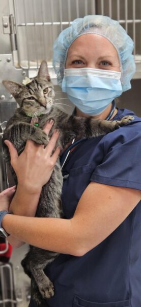 Ontario SPCA and Humane Society to open new veterinary clinic in Sudbury in partnership with Collège Boréal