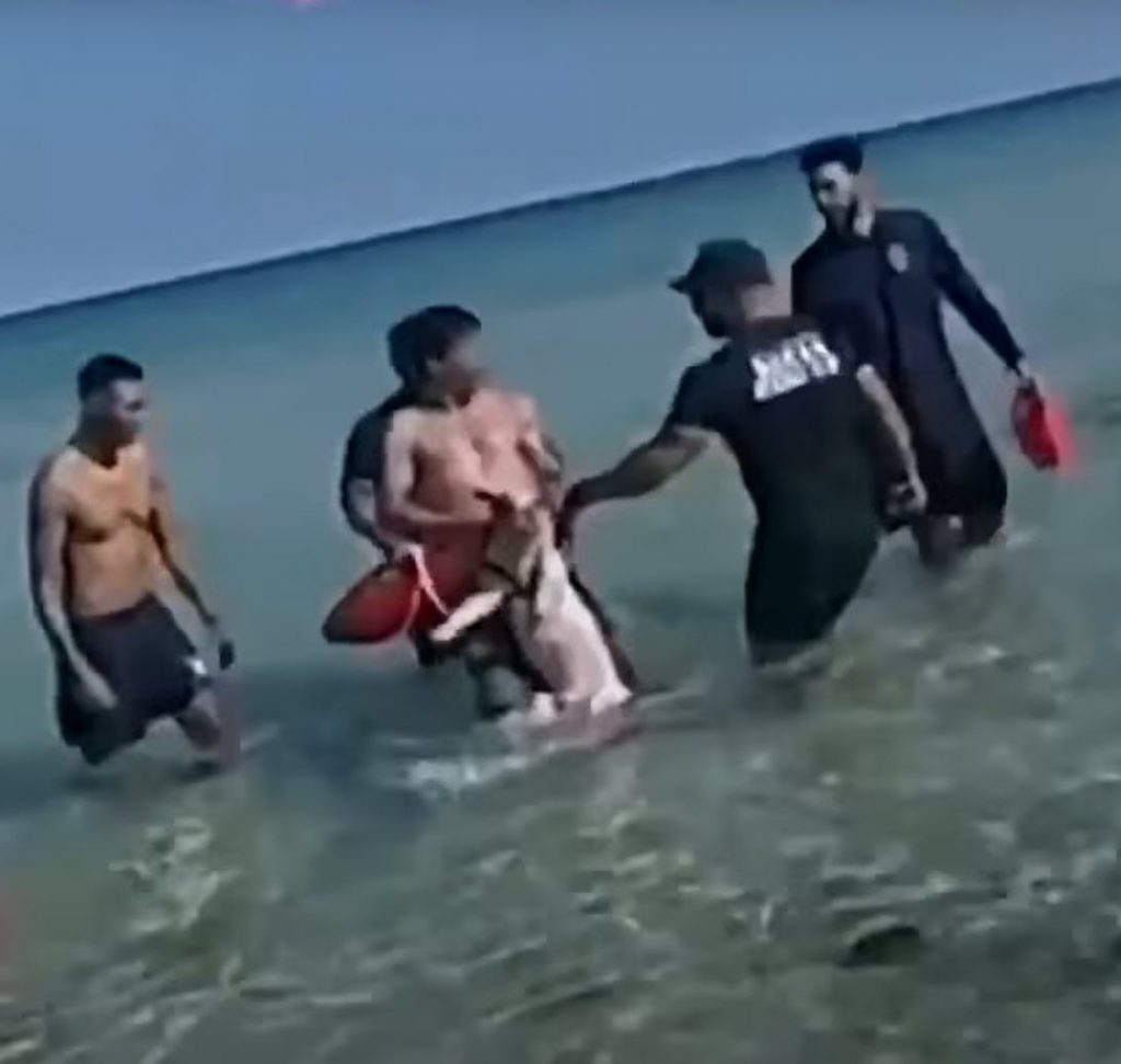 Man Arrested After Allegedly Trying to Drown Dog in Ocean