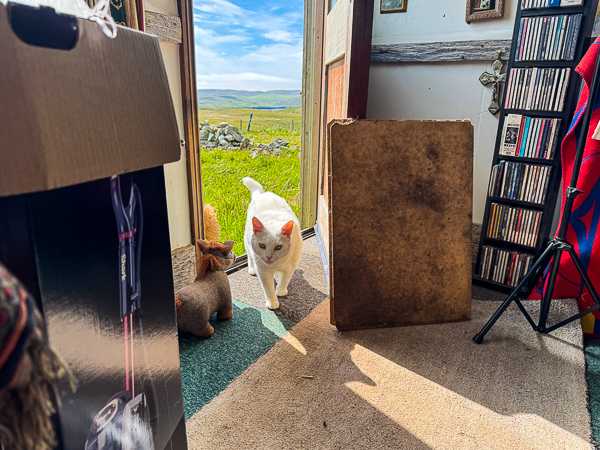 A False Sense of Security