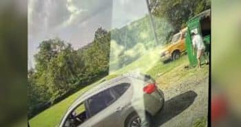 Man Caught on Video Dumping Dog in Dumpster and Driving Off