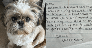 Rescue Dog’s Anxiety Triggers Neighbor’s Note, Owner Responds With Heartfelt Gesture