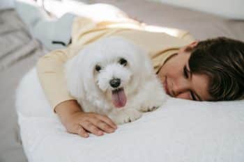 13 Cute Dog Breeds That Love Being Cuddled