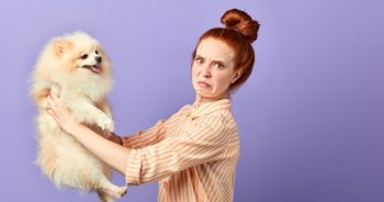 From Funky to Fresh: 15 Dog Dental Products That Actually Work