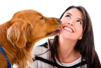 11 Ways Dogs Say ‘I Love You’ Without A Sound